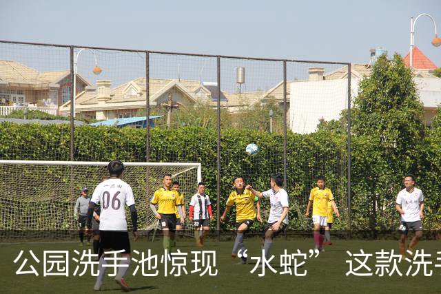 公园洗手池惊现“水蛇” 这款洗手体验太刺激